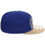 Brooklyn Dodgers MLB Jackie 59FIFTY 'Jackie Day'