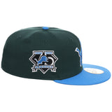 Detroit Lions NFL Turf New Era 59FIFTY