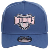 Washington Nationals MLB Pink Indigo New Era 9FORTY