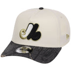 Montreal Expos MLB Black Realtree Chrome New Era 9FORTY