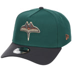 Tampa Bay Rays MLB Emerald Graphite New Era 9FORTY
