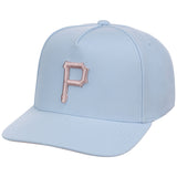 Pittsburgh Pirates MLB Mitchell & Ness Cherry Blossom Pro Pinch