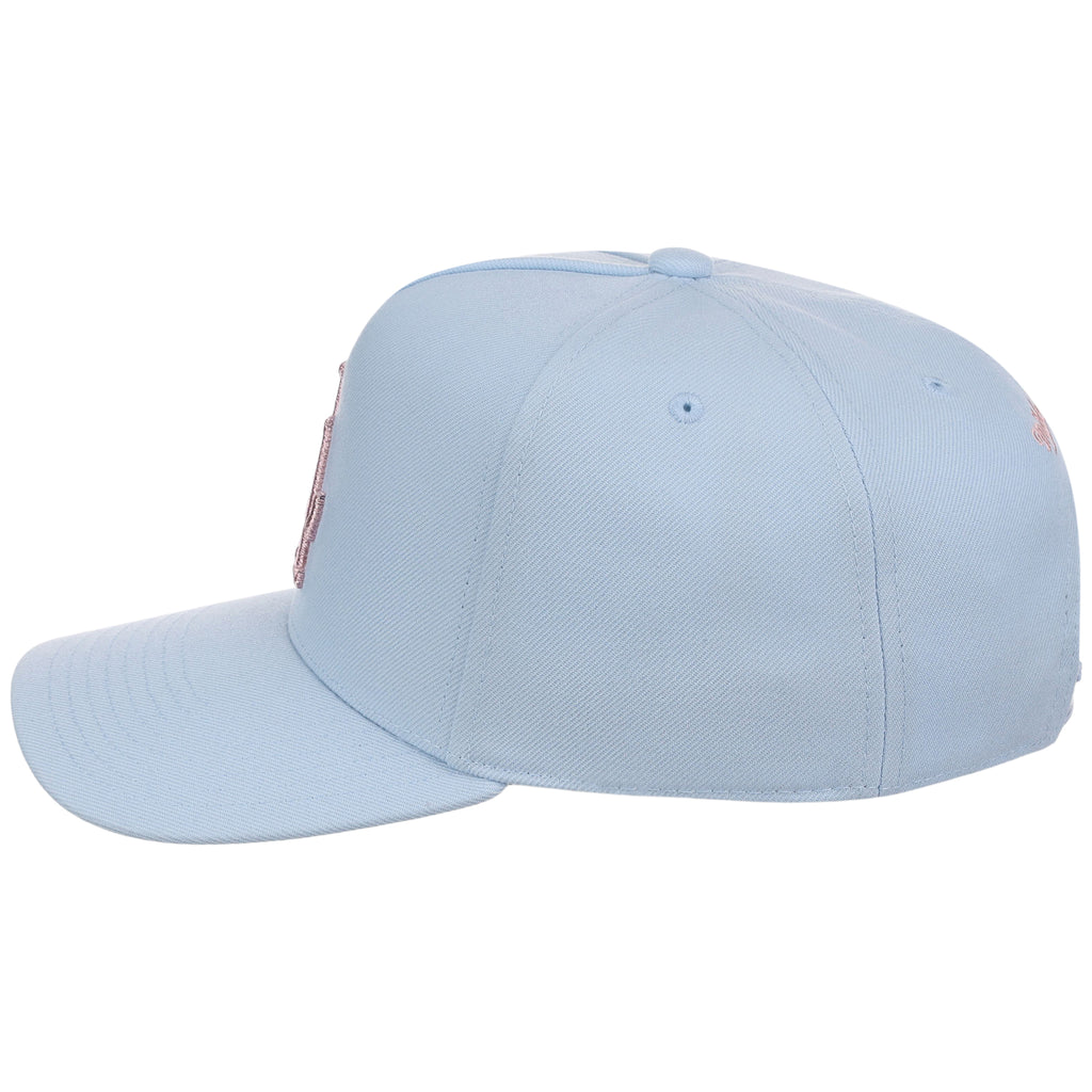 Los Angeles Dodgers MLB Mitchell & Ness Cherry Blossom Pro Pinch