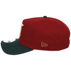 Cincinnati Reds MLB Terra Verde New Era 9FORTY