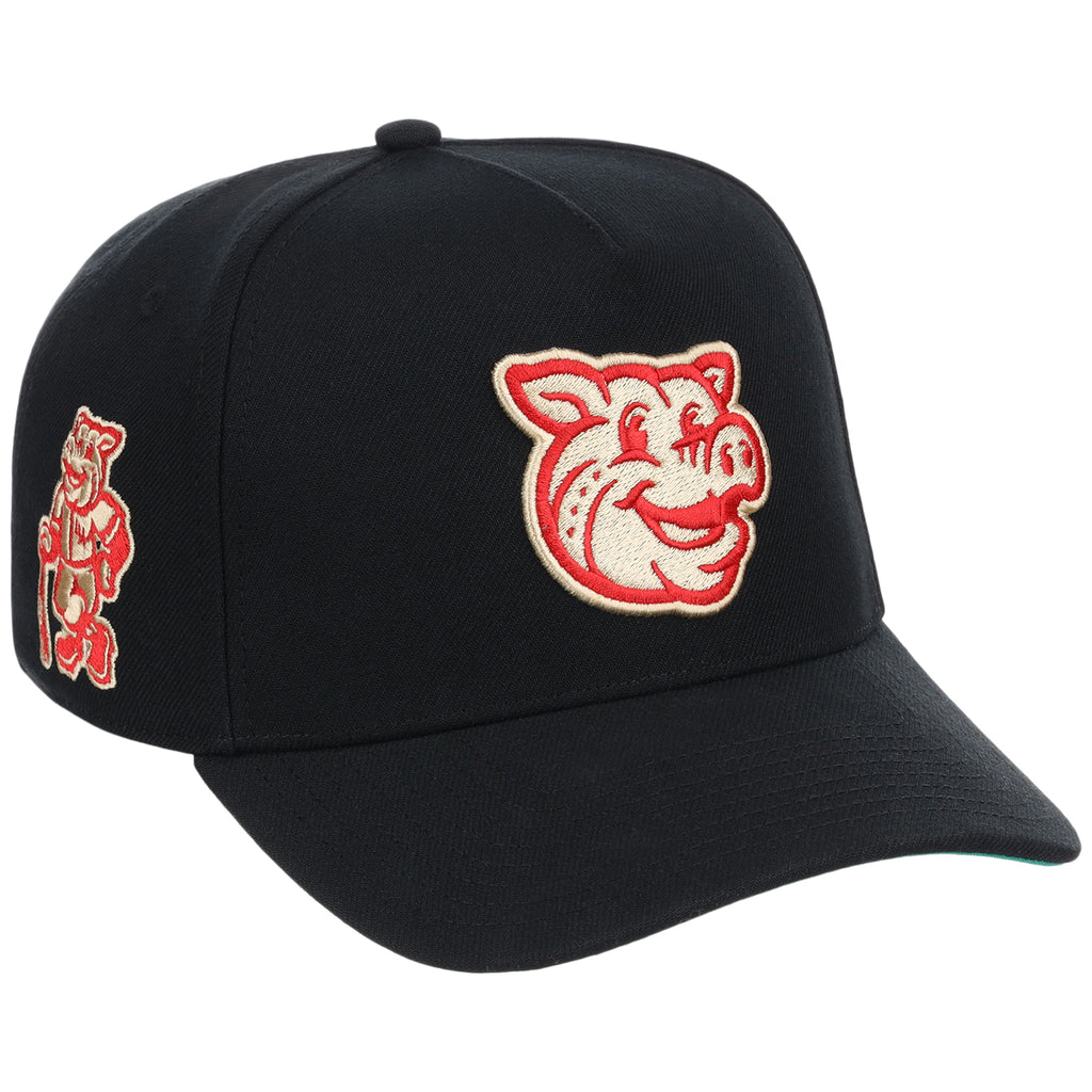 Lehigh Valley Ironpigs Field Club Minor League Monday Black OTC A-Frame