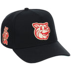 Lehigh Valley Ironpigs Field Club Minor League Monday Black OTC A-Frame