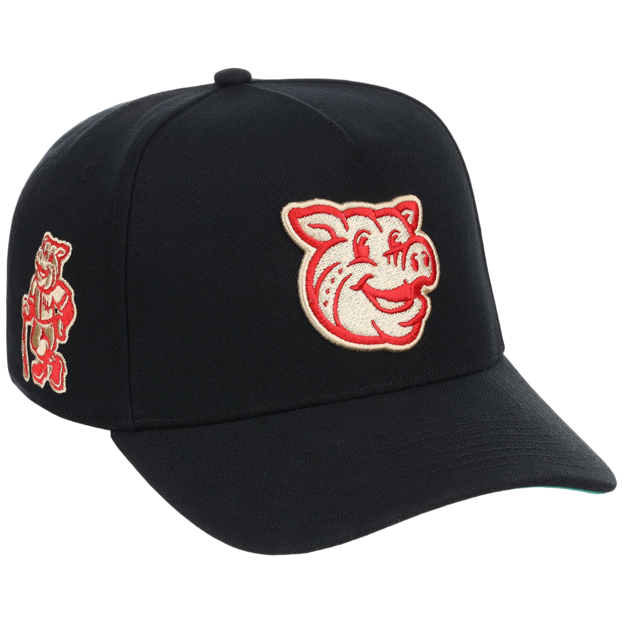 Lehigh Valley Ironpigs Field Club Minor League Monday Black OTC A-Frame