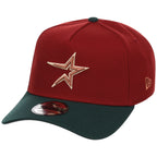Houston Astros MLB Terra Verde New Era 9FORTY