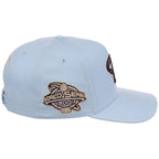 Arizona Diamondbacks MLB Mitchell & Ness Cherry Blossom Pro Pinch
