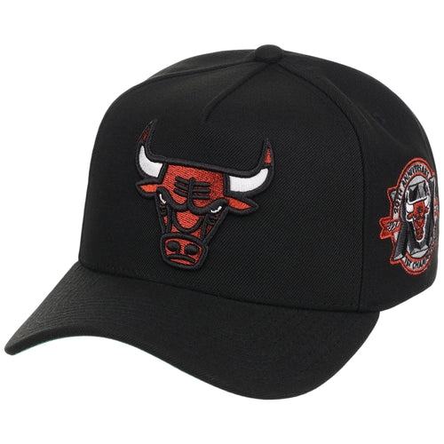 Chicago Bulls NBA Heavy Metal HWC Mitchell & Ness Pro Pinch