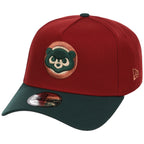 Chicago Cubs MLB Terra Verde New Era 9FORTY