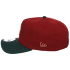 Arizona Diamondbacks MLB Terra Verde New Era 9FORTY