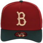 Brooklyn Dodgers MLB Terra Verde New Era 9FORTY