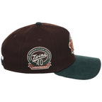 Minnesota Twins MLB Forest Ember New Era 9FORTY A-Frame