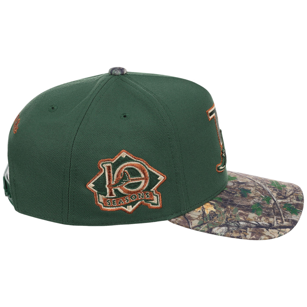 Tampa Bay Rays MLB Mitchell & Ness Copper Trees Pro Pinch