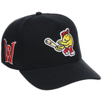 Worcester Red Sox Field Club Minor League Monday Black OTC A-Frame