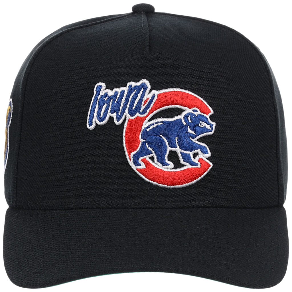 Iowa Cubs Field Club Minor League Monday Black OTC A-Frame