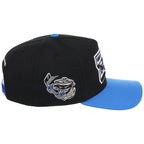Danbury Trashers Logo A-Frame (Blue/Black) - The Danbury Trashers Collection