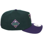 Texas Rangers MLB Joke's on You New Era 9FORTY A-Frame