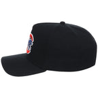 Iowa Cubs Field Club Minor League Monday Black OTC A-Frame