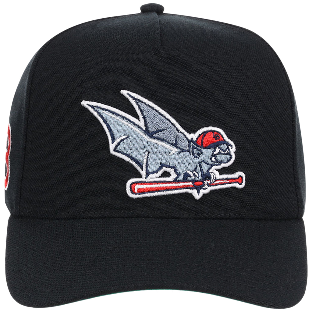 Louisville Bats Field Club Minor League Monday Black OTC A-Frame