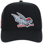 Louisville Bats Field Club Minor League Monday Black OTC A-Frame