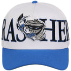 Danbury Trashers Wrap A-Frame (Chrome/Blue) - The Danbury Trashers Collection