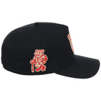 Lehigh Valley Ironpigs Field Club Minor League Monday Black OTC A-Frame