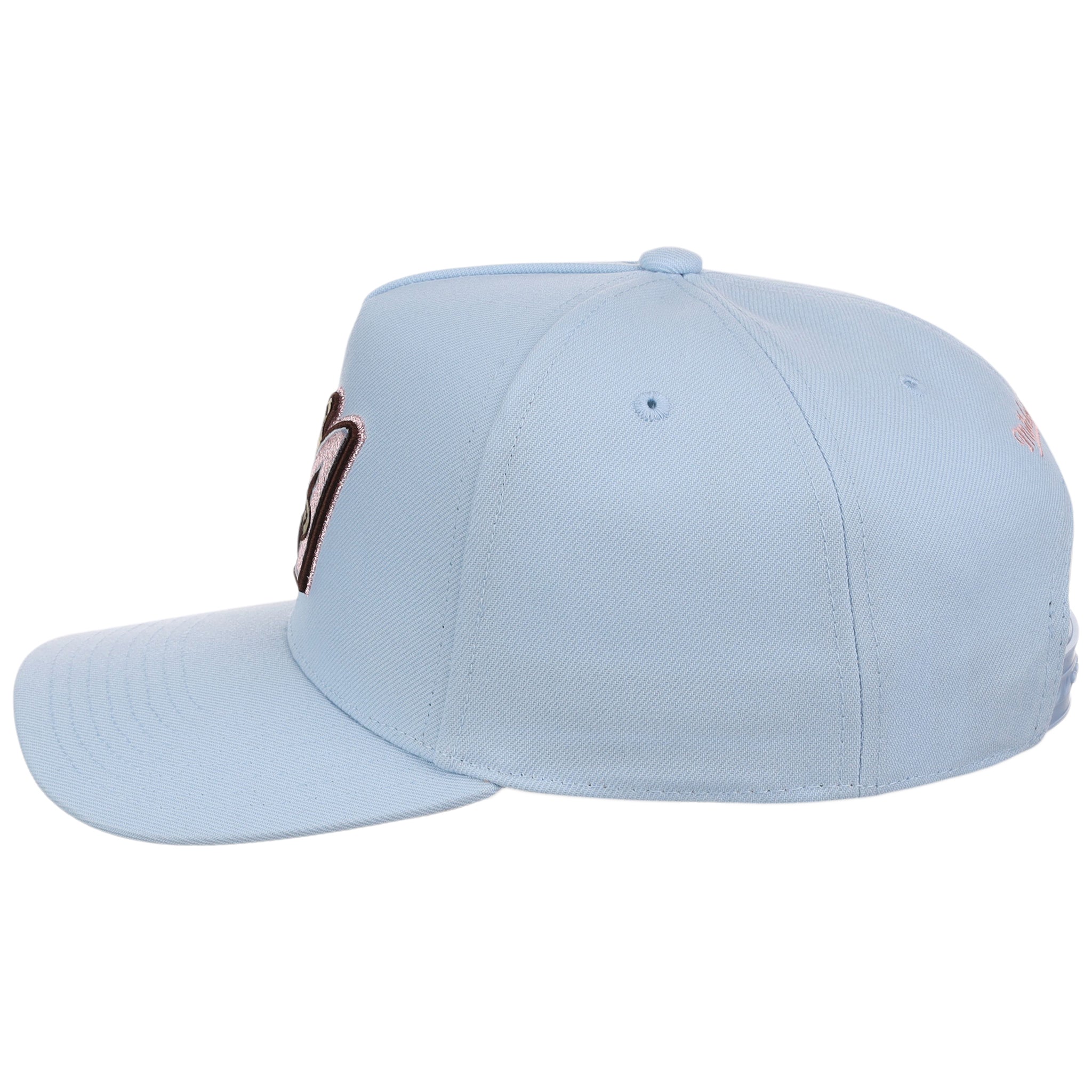 Anaheim Angels MLB Mitchell & Ness Cherry Blossom Pro Pinch