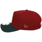 Boston Red Sox MLB Terra Verde New Era 9FORTY
