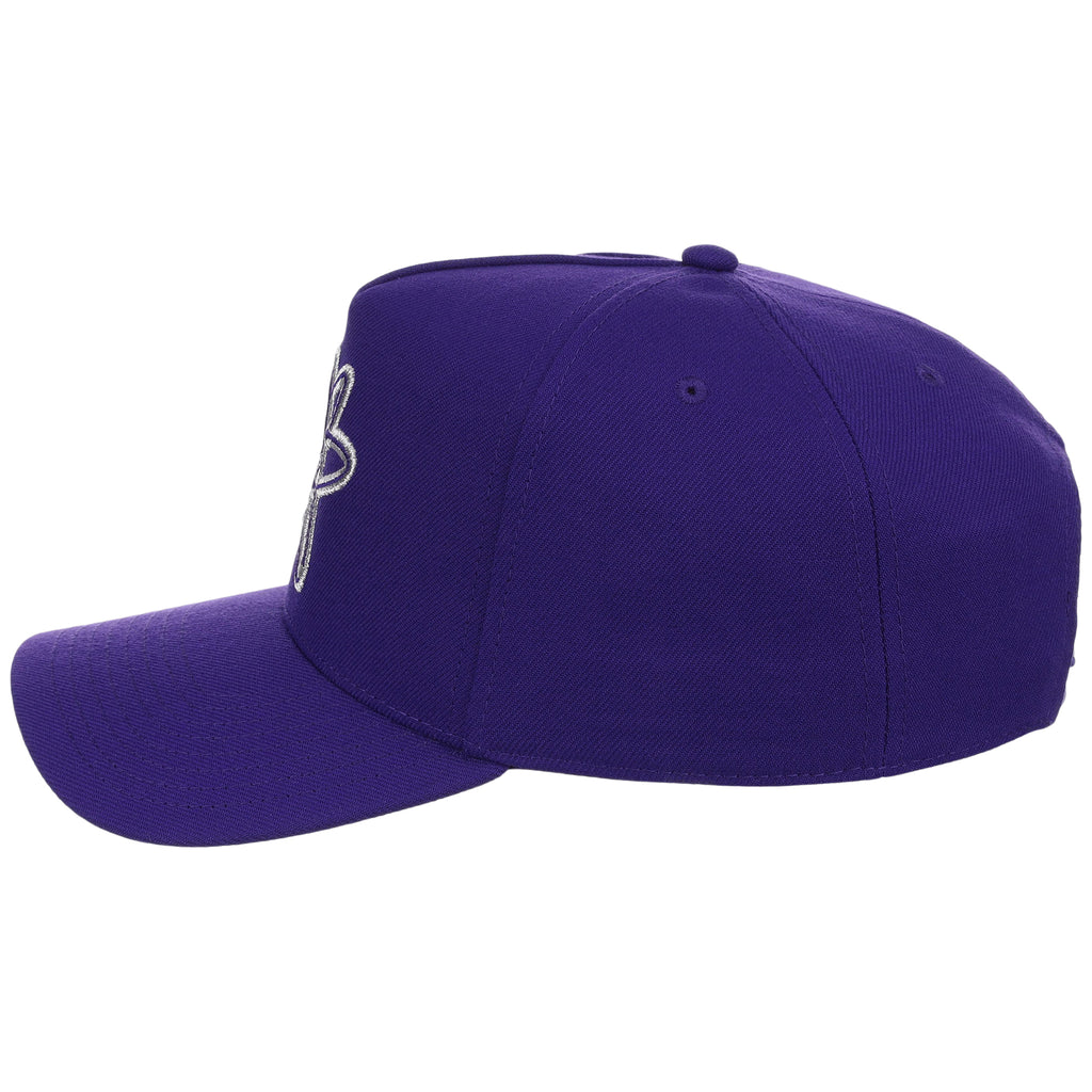 Albuquerque Isotopes Field Club Minor League Monday OTC A-Frame