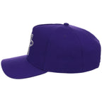 Albuquerque Isotopes Field Club Minor League Monday OTC A-Frame