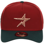 Houston Astros MLB Terra Verde New Era 9FORTY