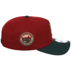 Washington Nationals MLB Terra Verde New Era 9FORTY
