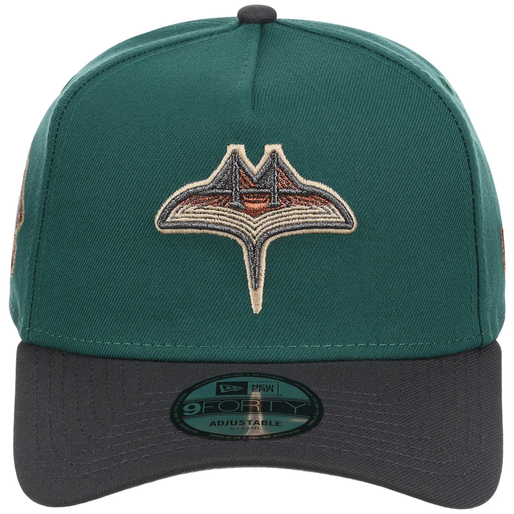 Tampa Bay Rays MLB Emerald Graphite New Era 9FORTY