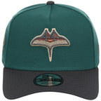 Tampa Bay Rays MLB Emerald Graphite New Era 9FORTY