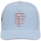 San Francisco Giants MLB Mitchell & Ness Cherry Blossom Pro Pinch