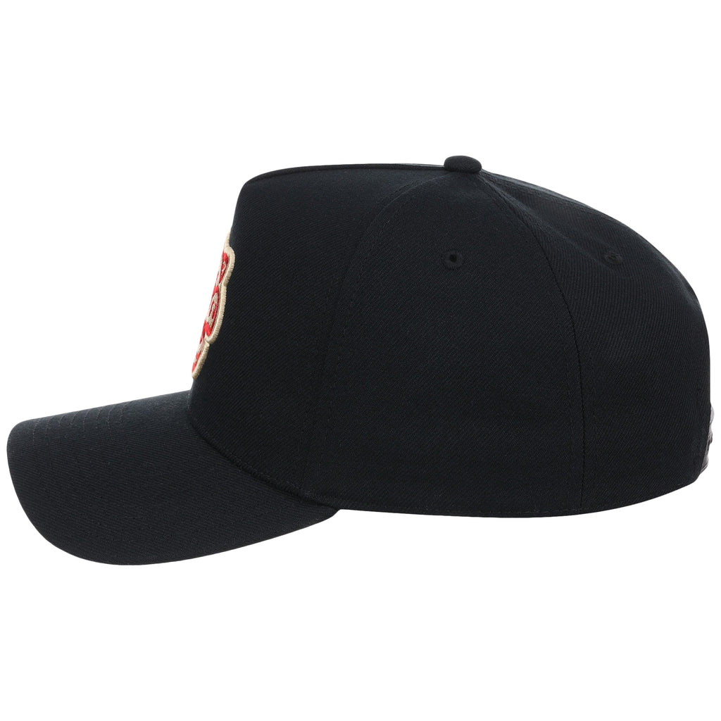 Lehigh Valley Ironpigs Field Club Minor League Monday Black OTC A-Frame