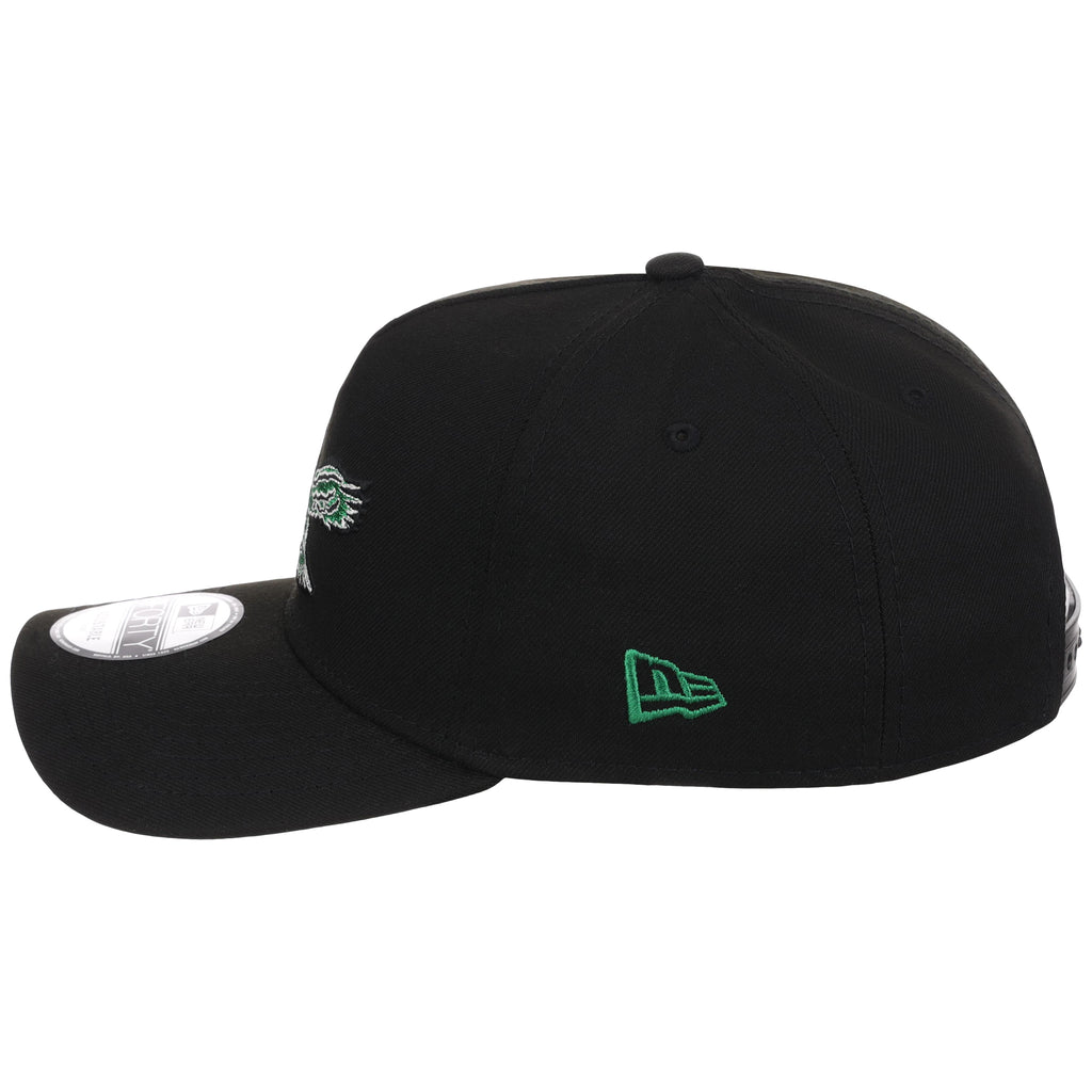 Philadelphia Eagles NFL Black Dome New Era 9FORTY A-Frame