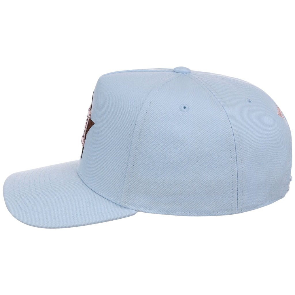 Houston Astros MLB Mitchell & Ness Cherry Blossom Pro Pinch