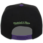Anaheim Angels MLB Alien Encounter Mitchell & Ness Pro Pinch