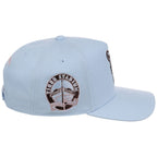 Detroit Tigers MLB Mitchell & Ness Cherry Blossom Pro Pinch