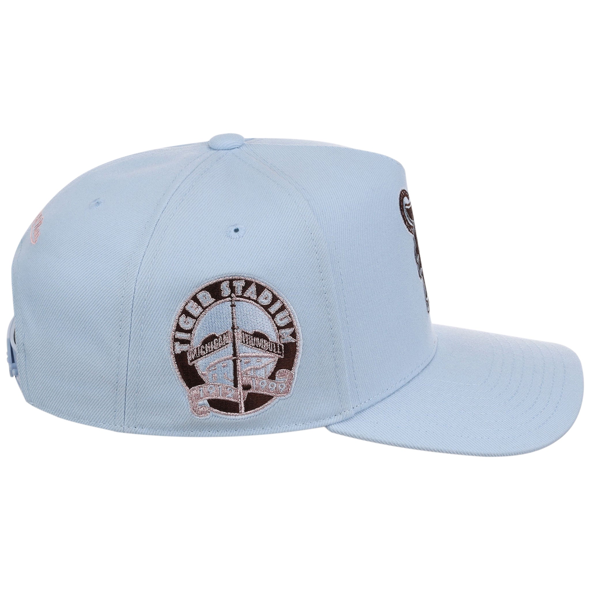 Detroit Tigers MLB Mitchell & Ness Cherry Blossom Pro Pinch