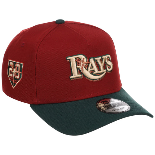 Tampa Bay Rays MLB Terra Verde New Era 9FORTY