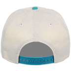 Arizona Diamondbacks Phoenix Crown the City New Era 9FORTY A-Frame (Chrome/Teal)