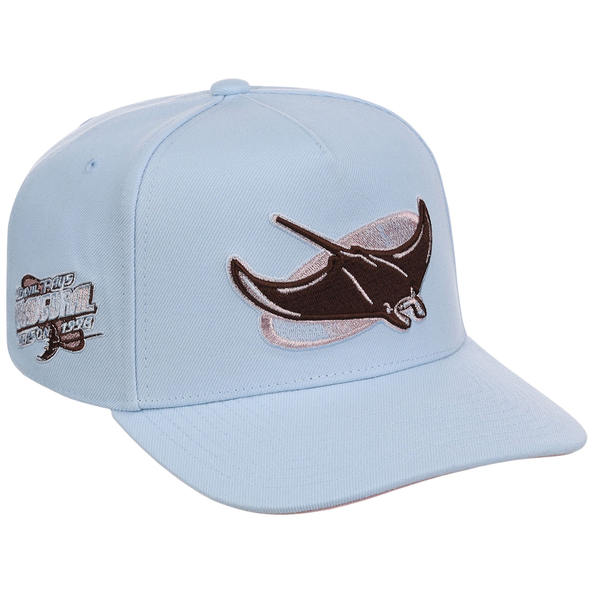 Tampa Bay Rays MLB Mitchell & Ness Cherry Blossom Pro Pinch