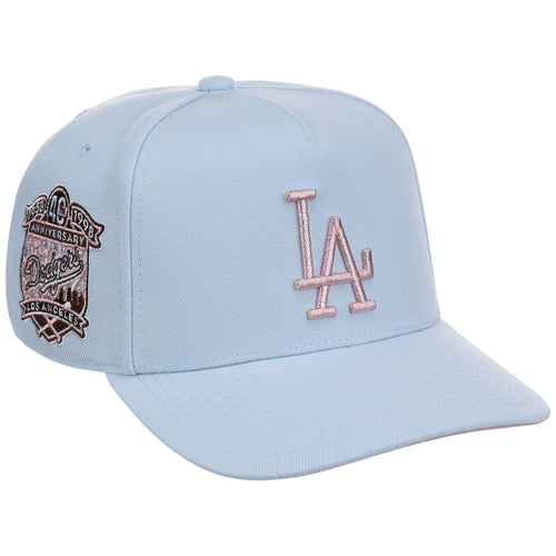 Los Angeles Dodgers MLB Mitchell & Ness Cherry Blossom Pro Pinch