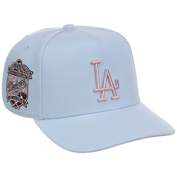 Los Angeles Dodgers MLB Mitchell & Ness Cherry Blossom Pro Pinch