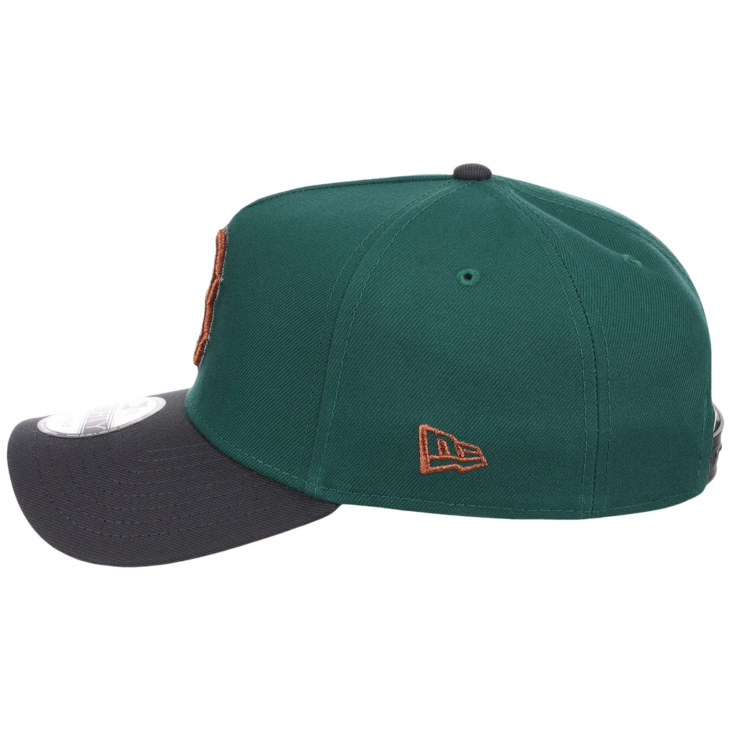 Boston Red Sox MLB Emerald Graphite New Era 9FORTY