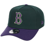 Brooklyn Dodgers MLB Joke's on You New Era 9FORTY A-Frame